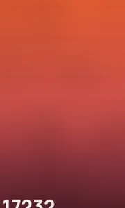 17232