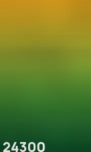 24300