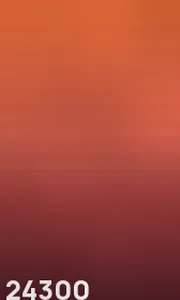 24300